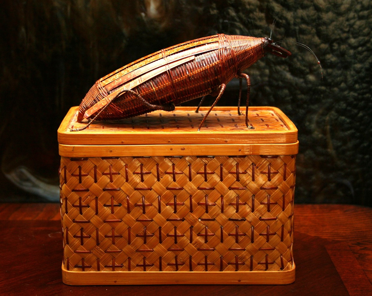 basket cockroach insect free photo