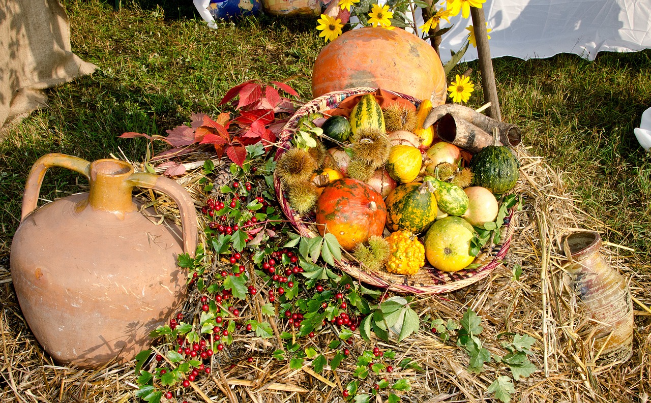 basket autumn agriculture free photo