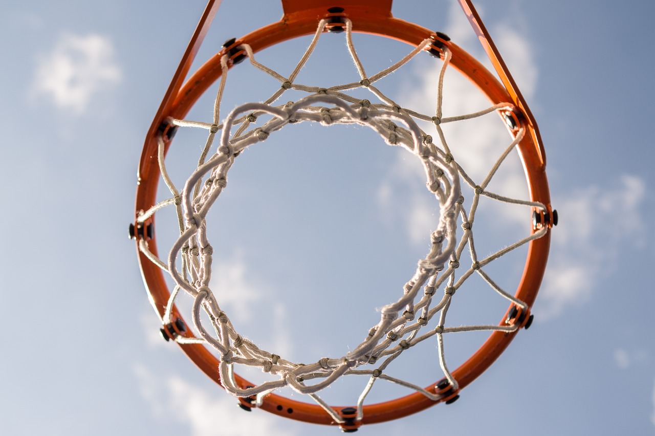 basket hoop basketball free photo