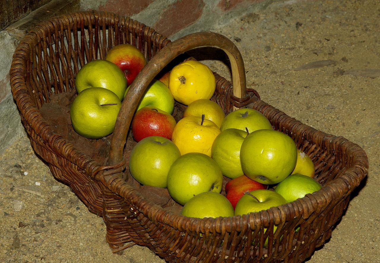 basket apples collection free photo