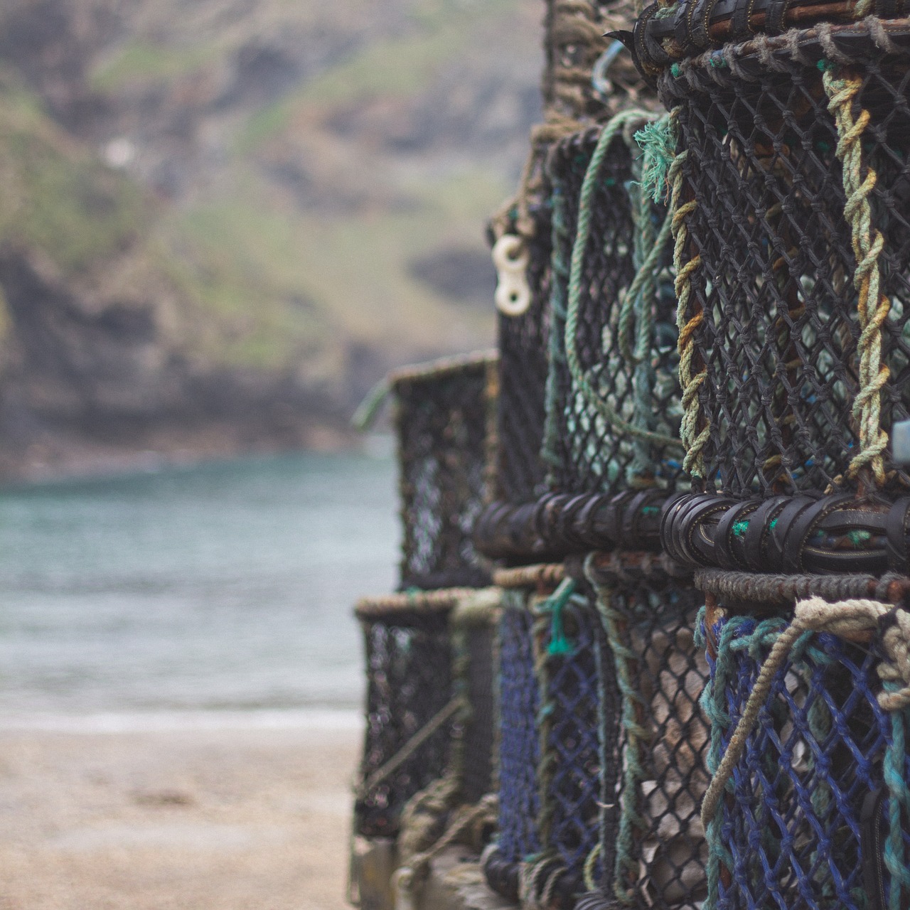 basket net fishing free photo