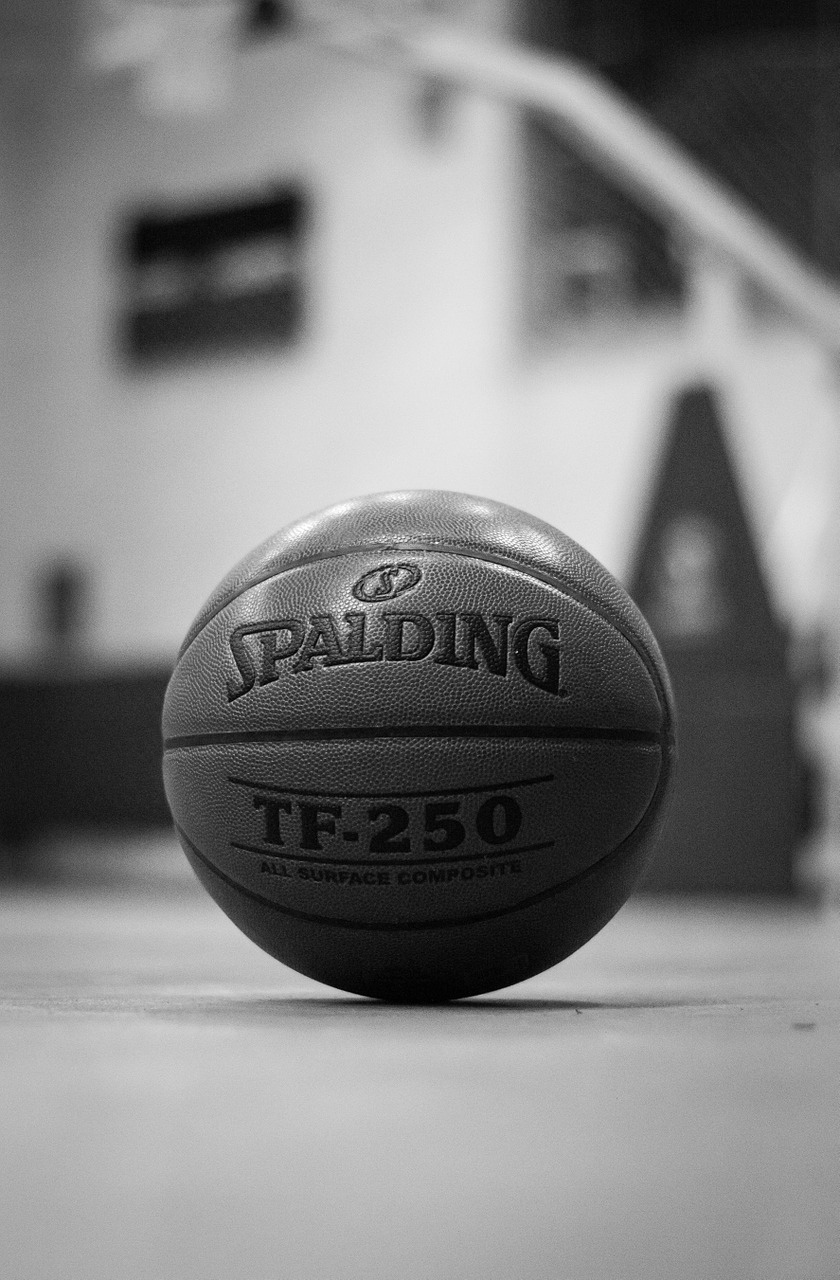 basket-ball ball basketball free photo