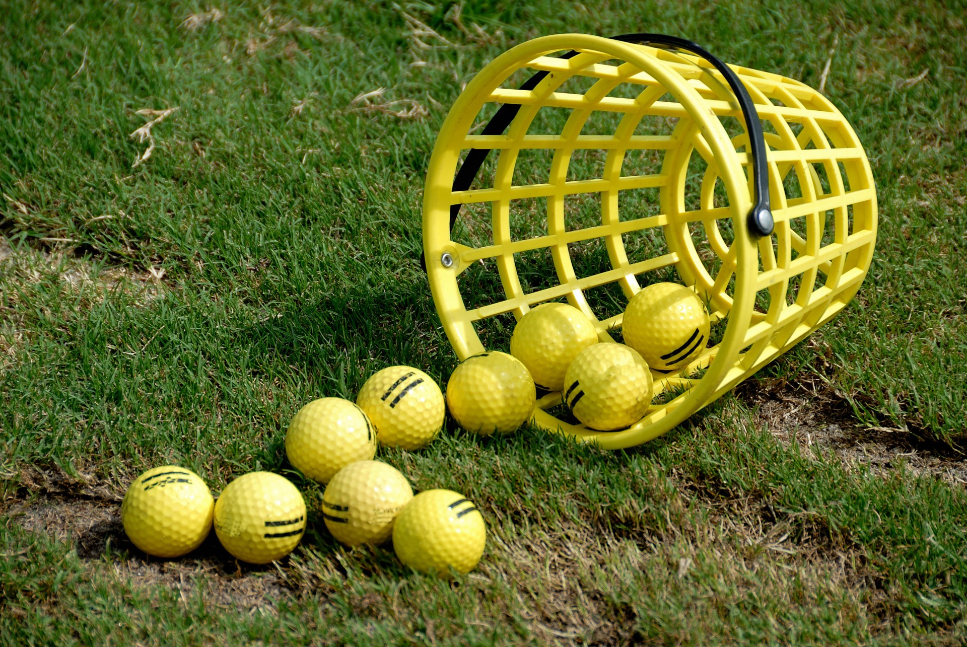 golf balls basket free photo