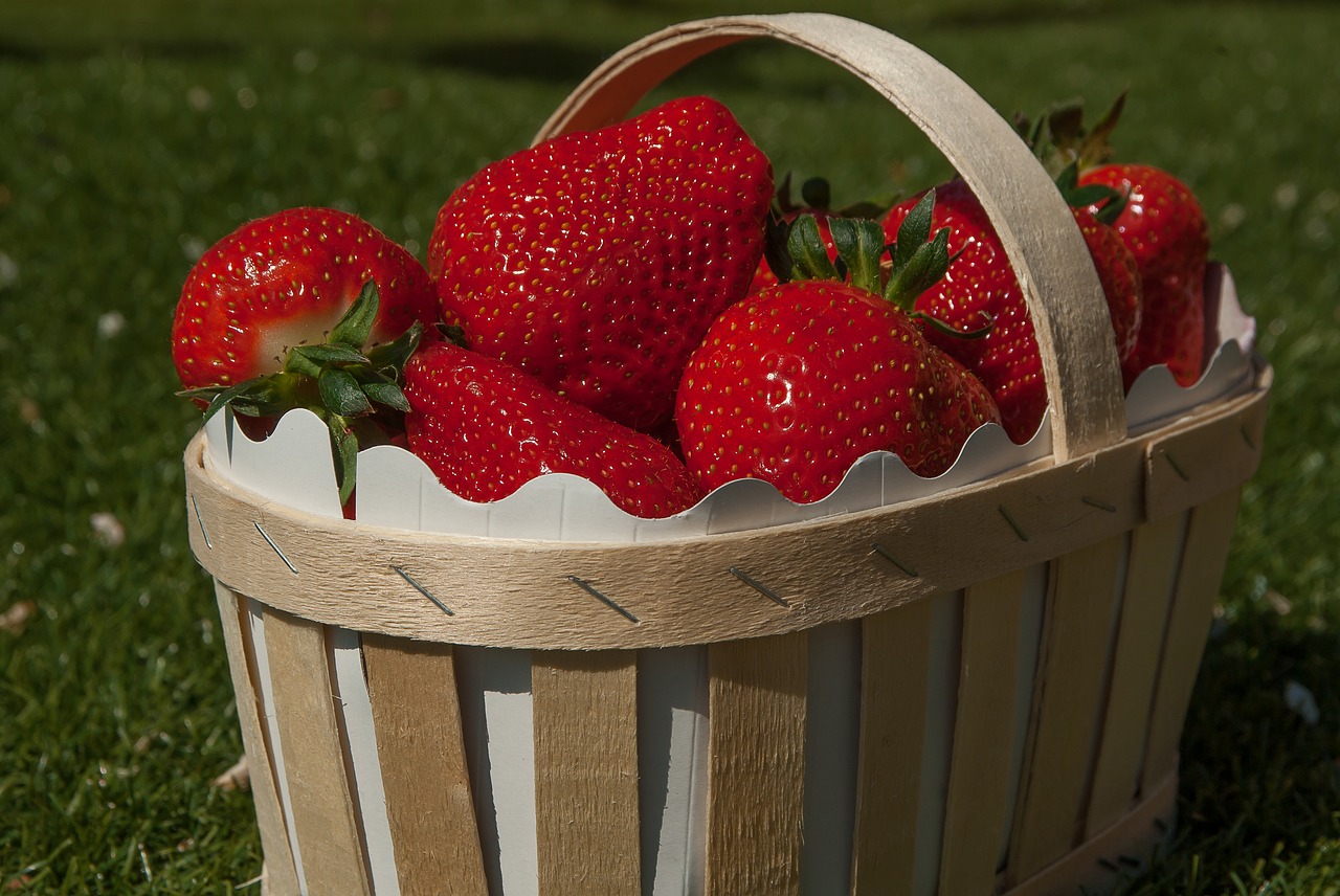 basket strawberries strawberry fruit free photo