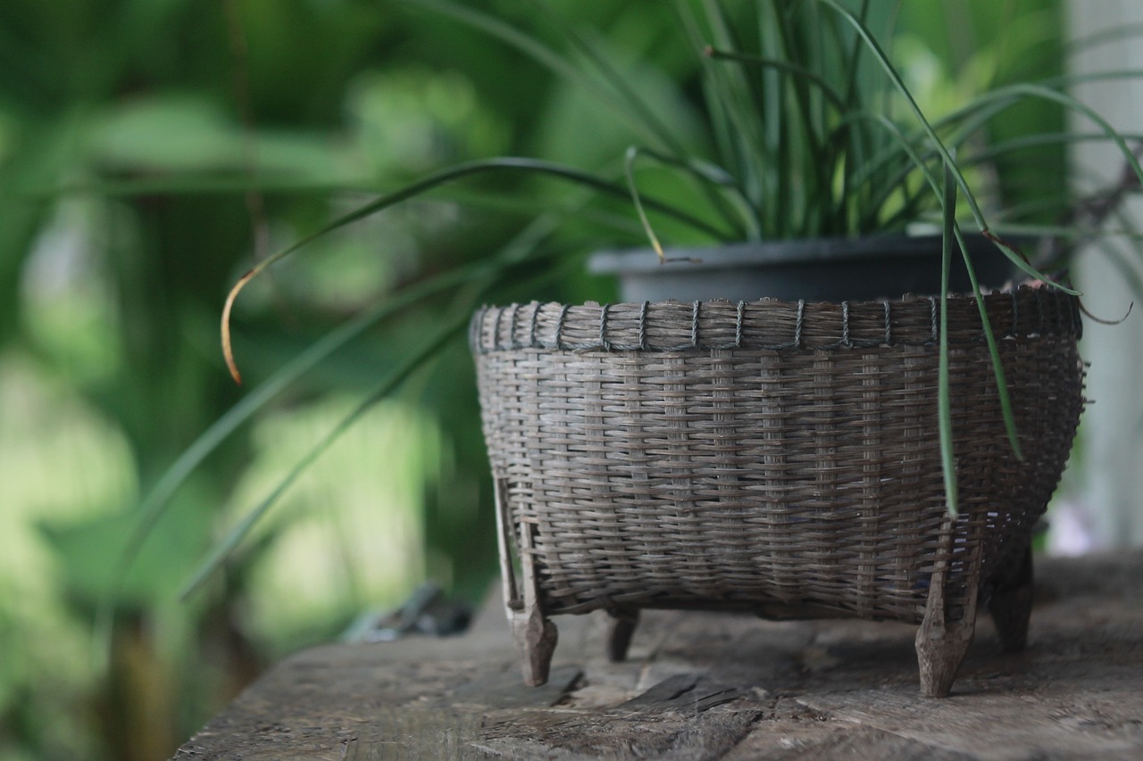 basket weave nature countryside free photo