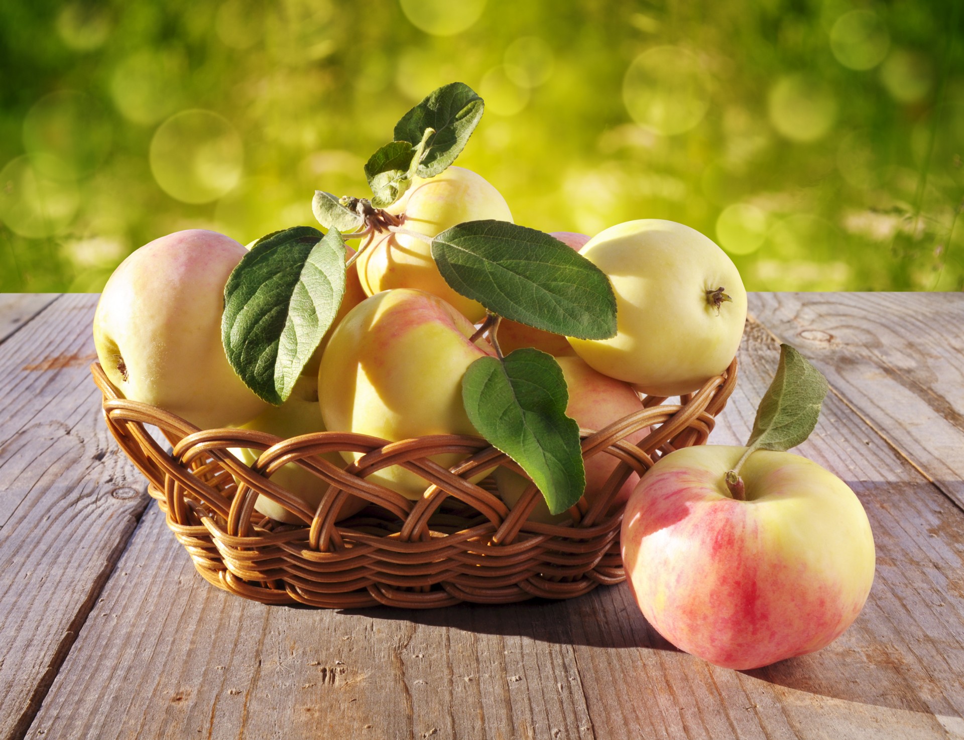 apples harvest harvesting free photo