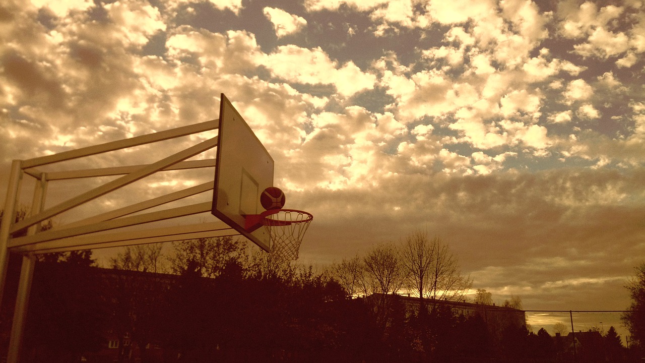 basketball basket ball free photo