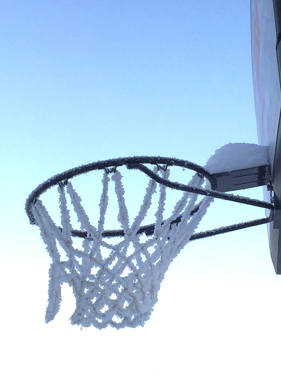 basketball hoop frozen free photo
