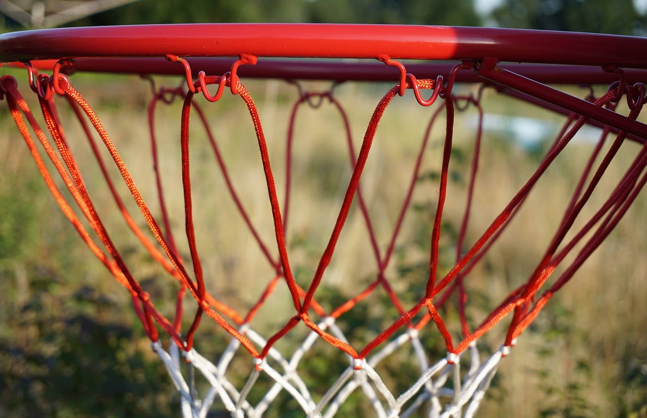 basketball basket ball game free photo