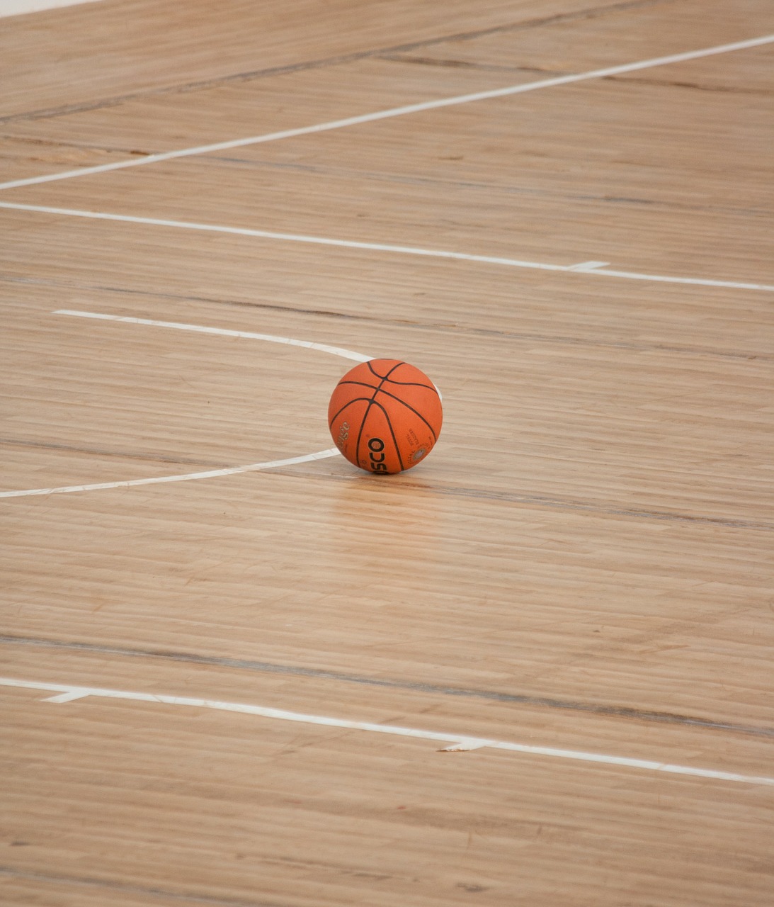 basketball ball sports free photo
