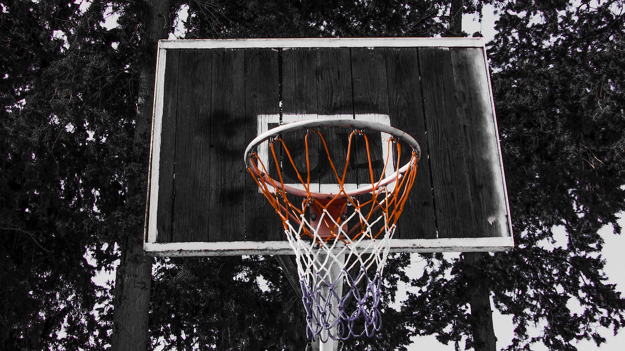 basketball sport net free photo