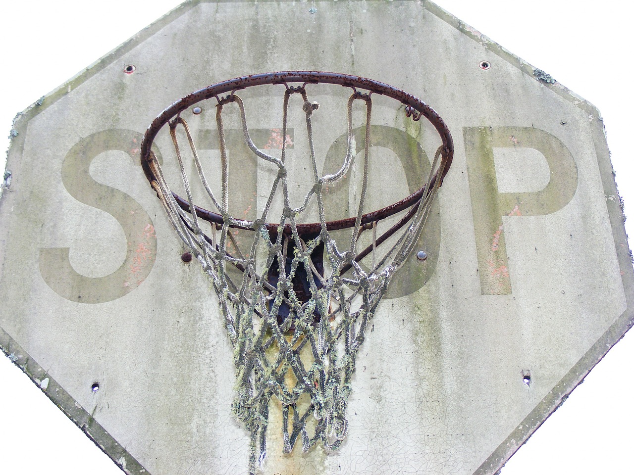 basketball ball nba free photo