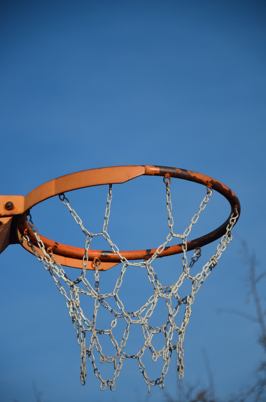 basketball ball sport free photo