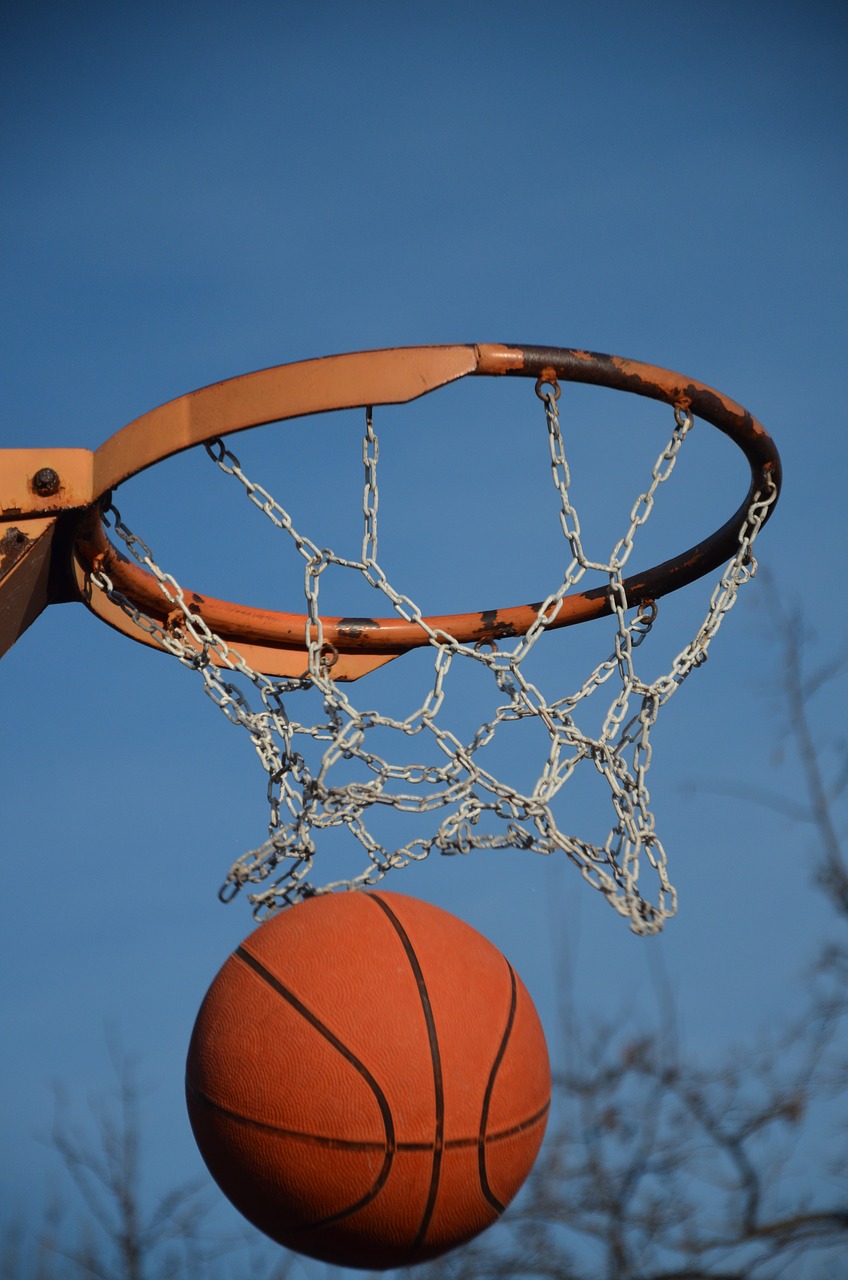 basketball ball sport free photo