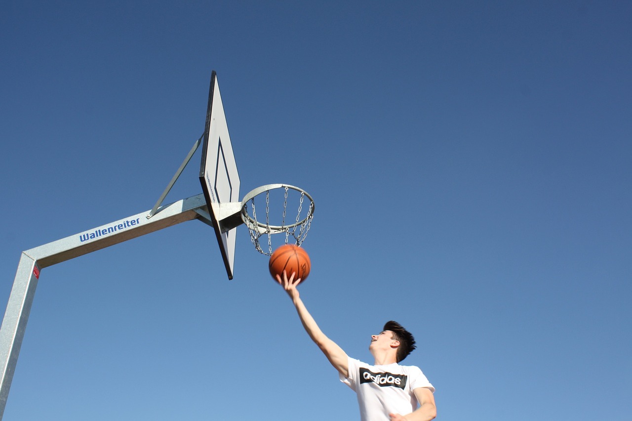 basketball basketball hoop sport free photo