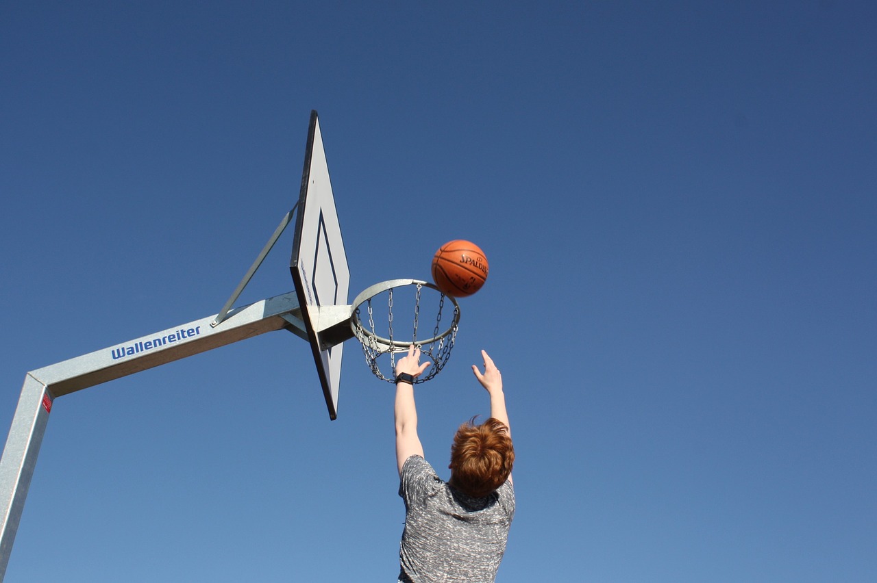 basketball basketball hoop sport free photo