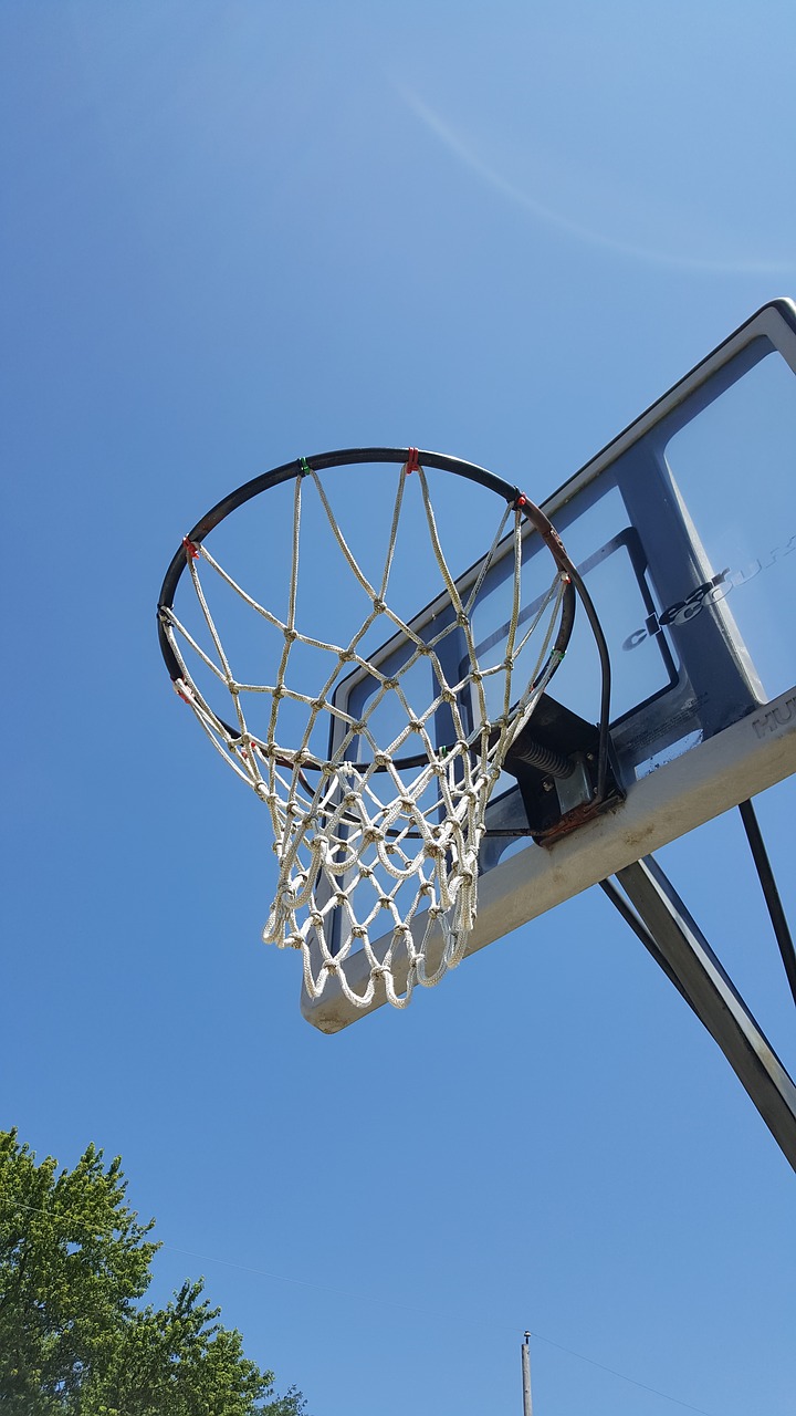 basketball hoop net free photo