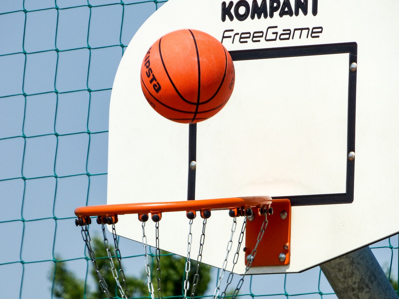 basketball sports ball free photo