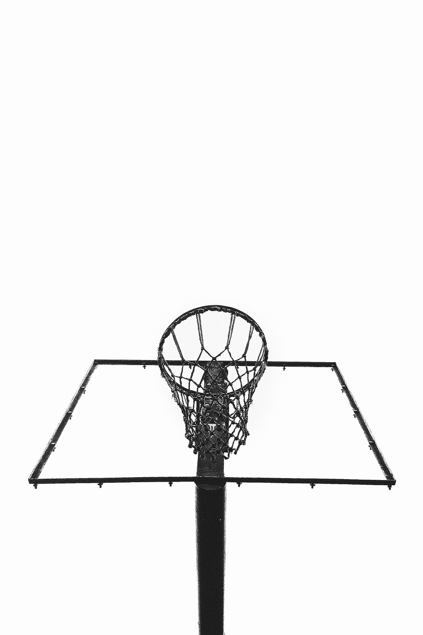 basketball net hoops free photo