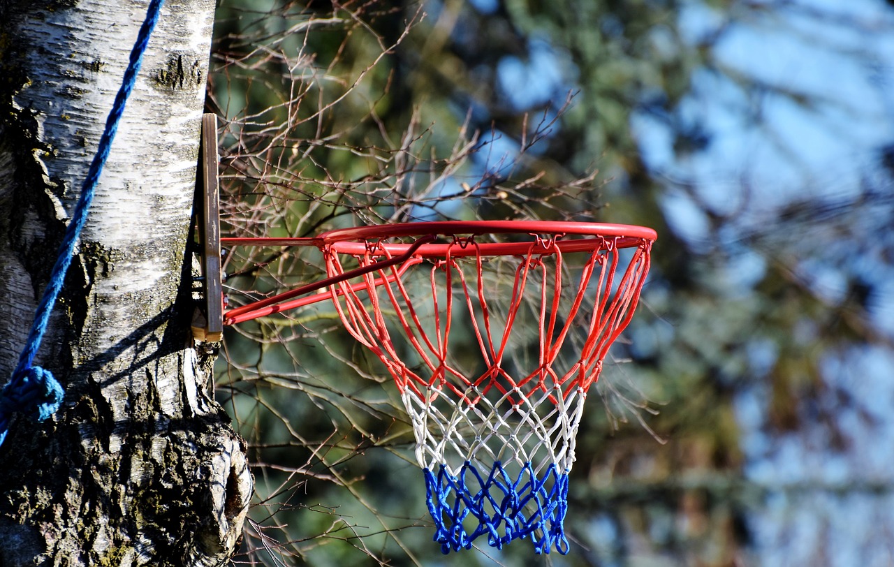 basketball basketball hoop ball sports free photo