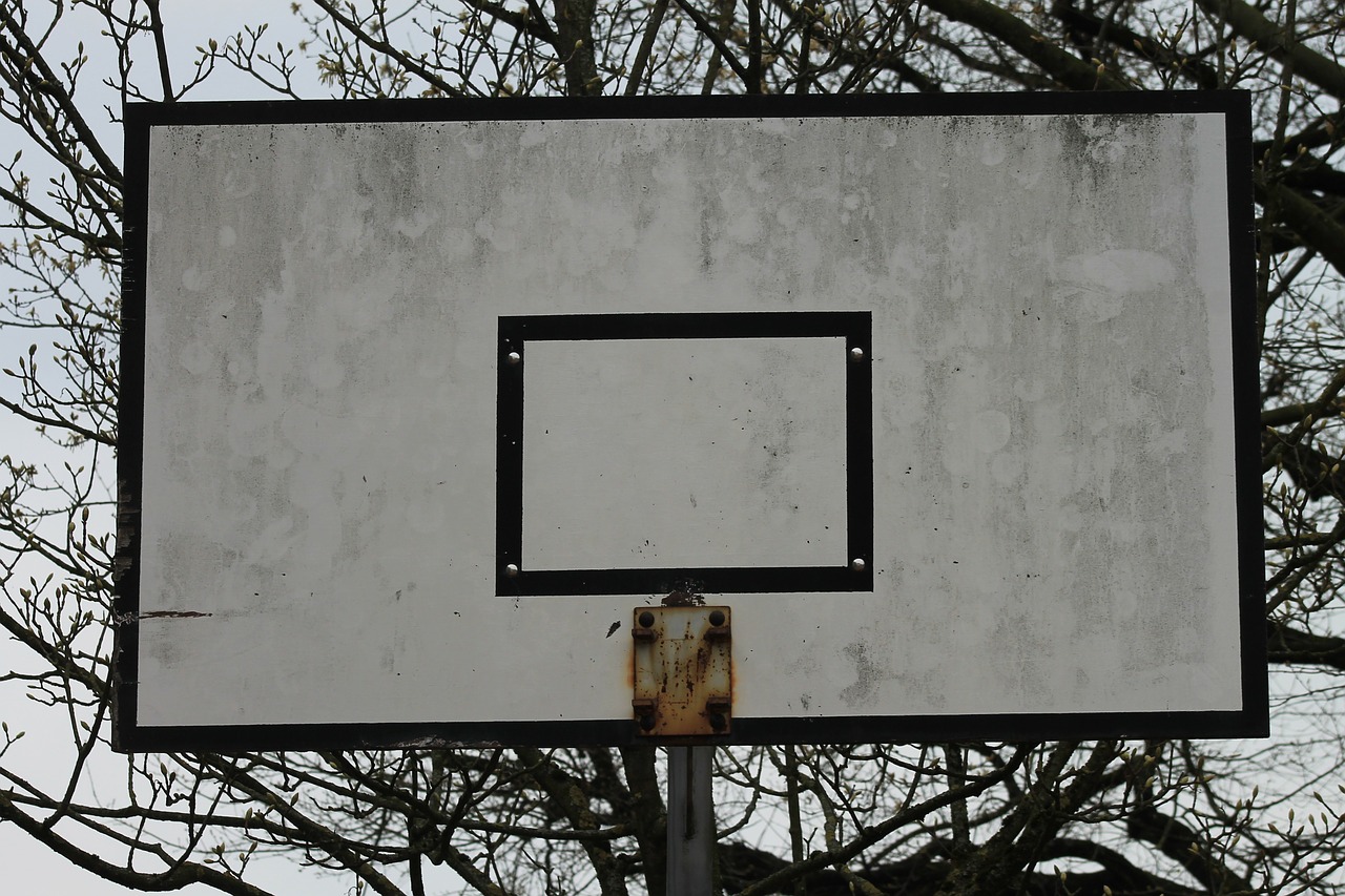 basketball basketball hoop defect free photo