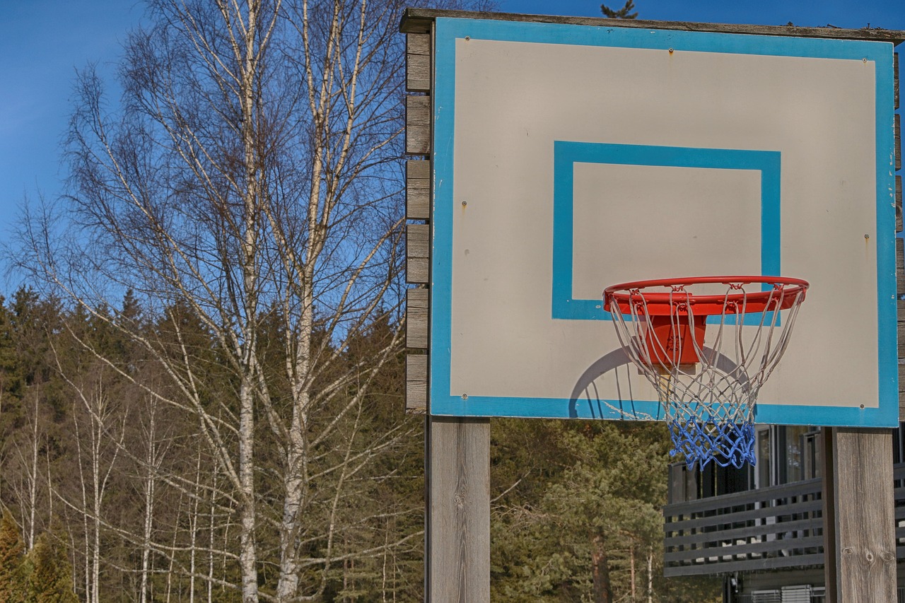 basketball outdoors ball free photo