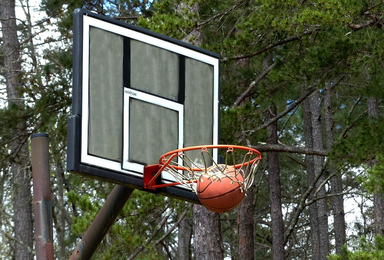 basketball basketball net sports free photo