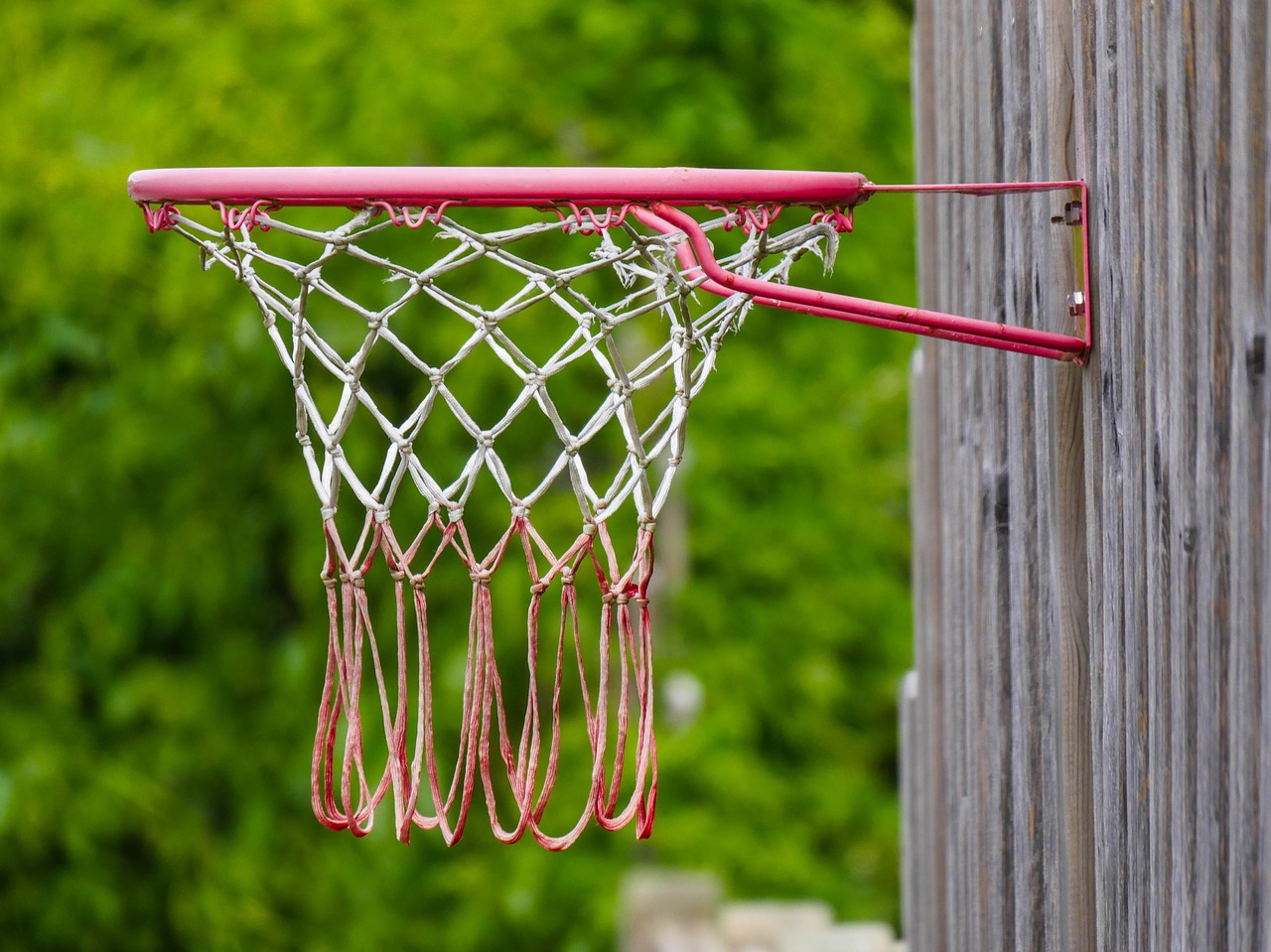 basketball  basket  sport free photo