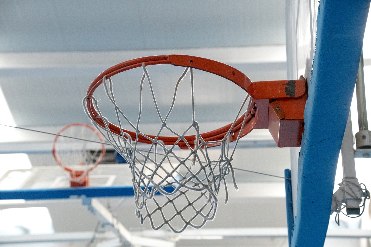 basketball  sport  basket free photo