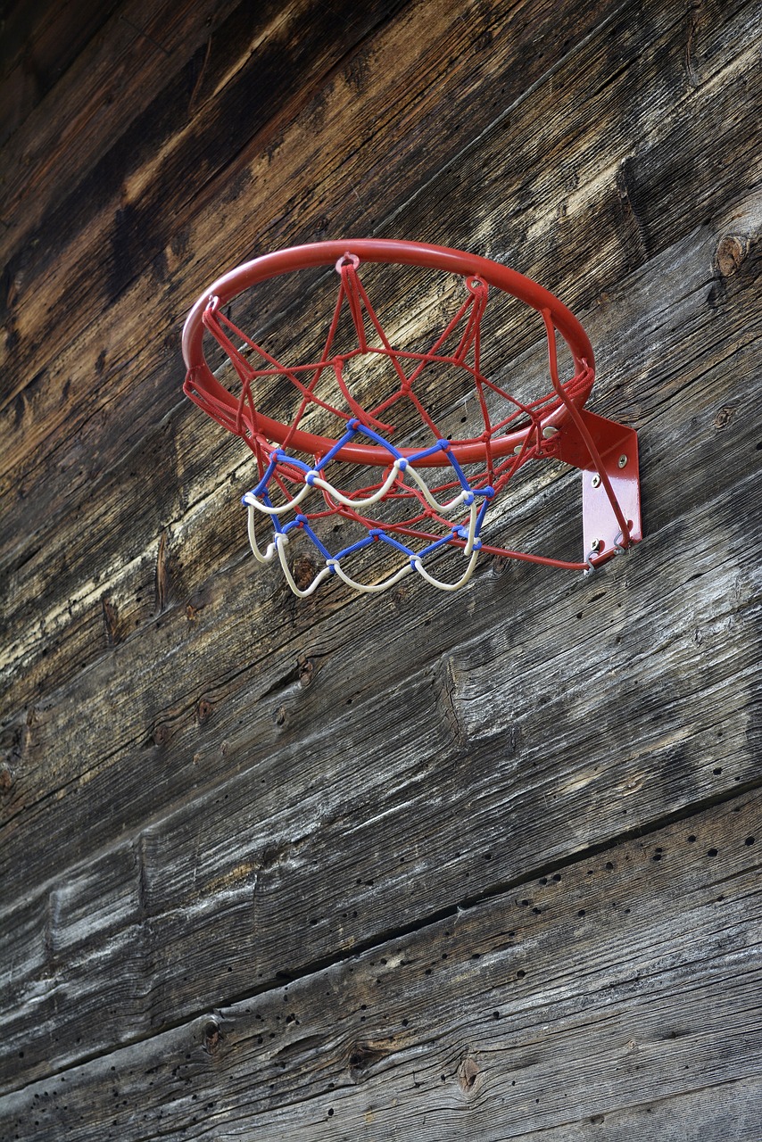 basketball  net  sport free photo