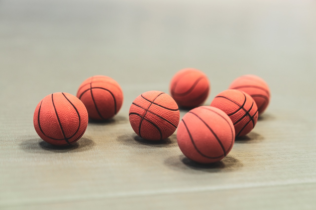 basketball  basketballs  ball free photo