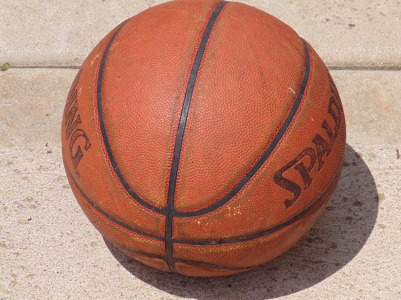 basketball sports ball free photo