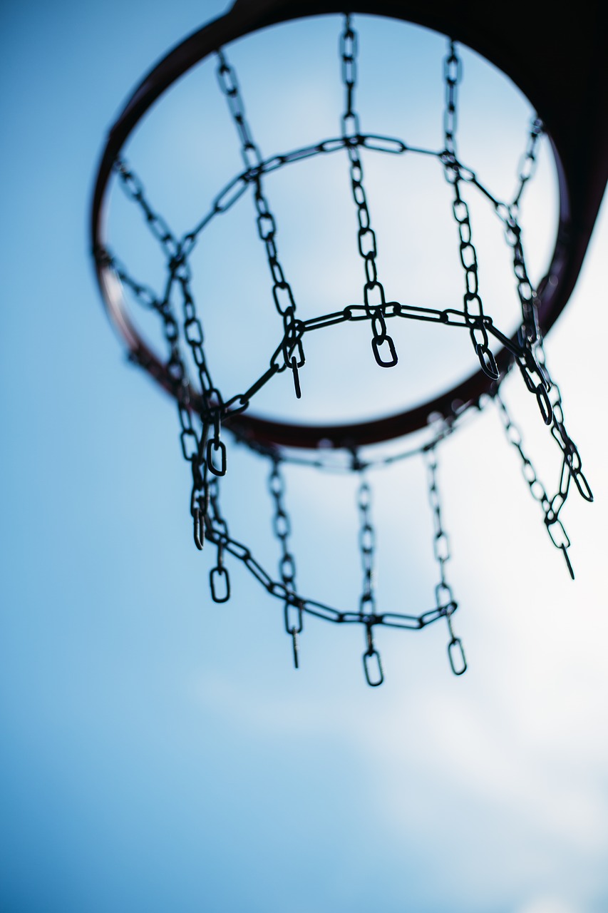 basketball  basket  street free photo