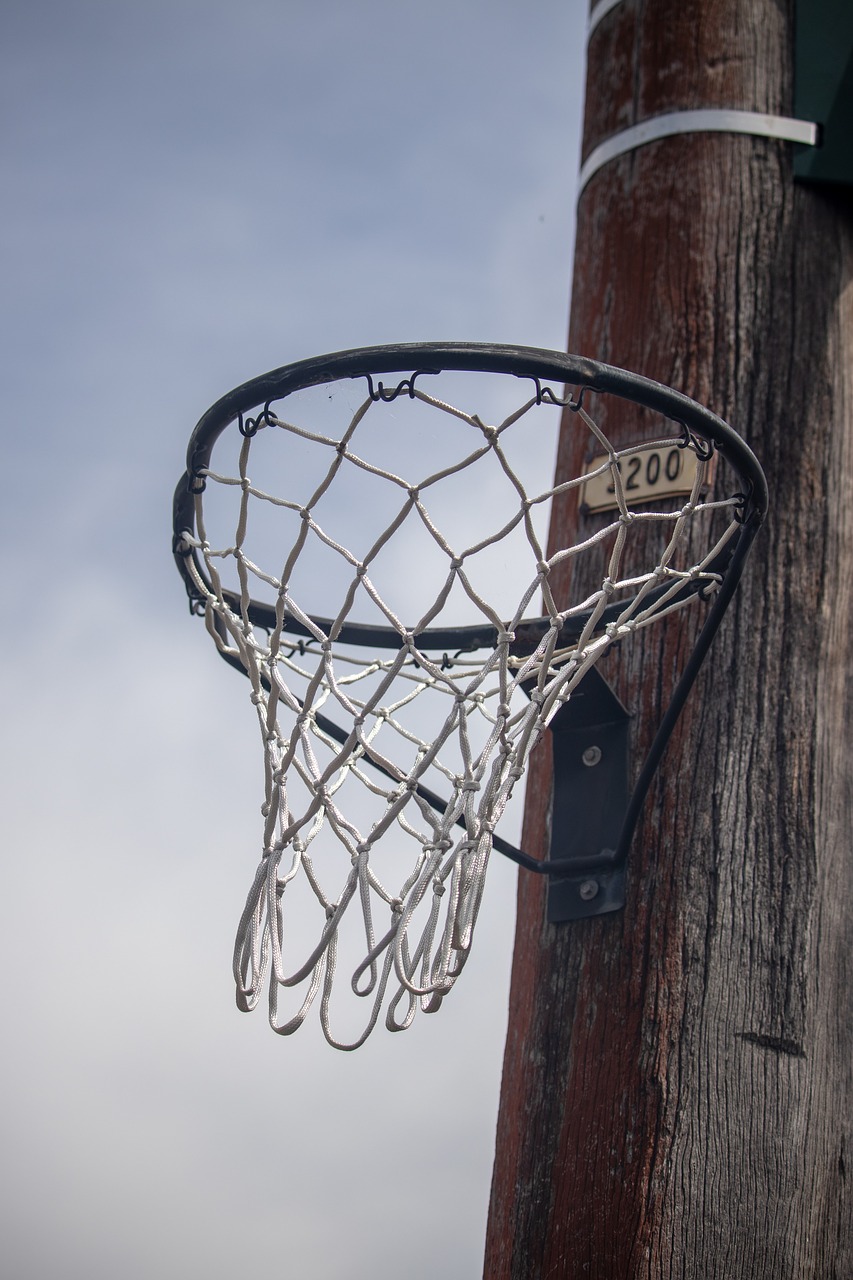 basketball  hoop  street free photo