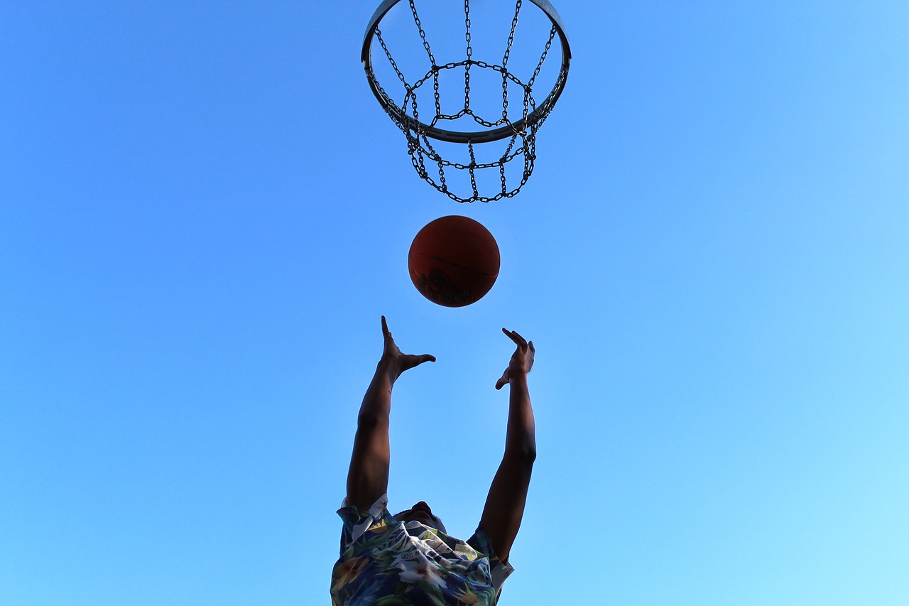 basketball  basket  ball free photo