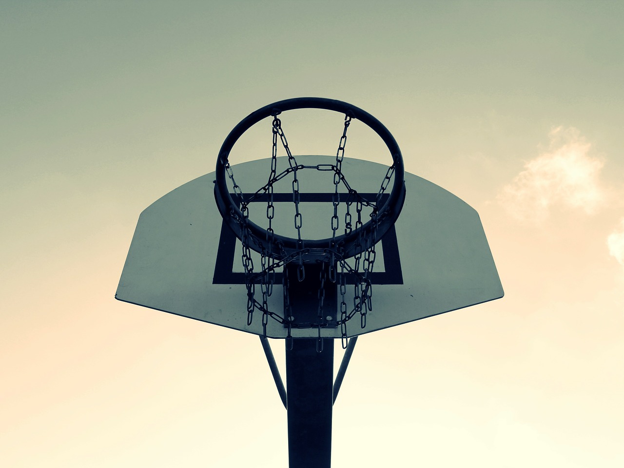 basketball basketball hoop basket free photo