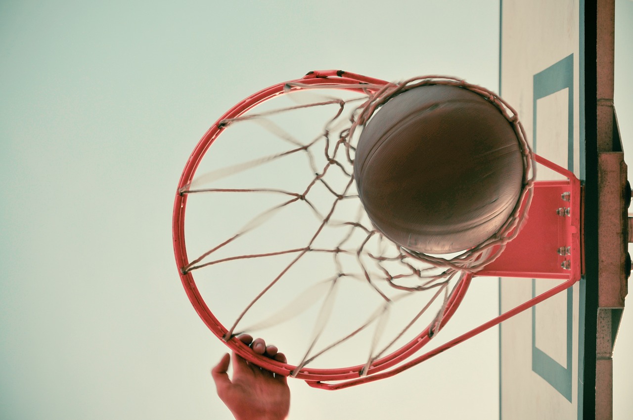 basketball hoop basket free photo
