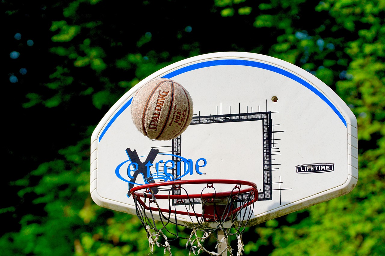 basketball sport ball free photo