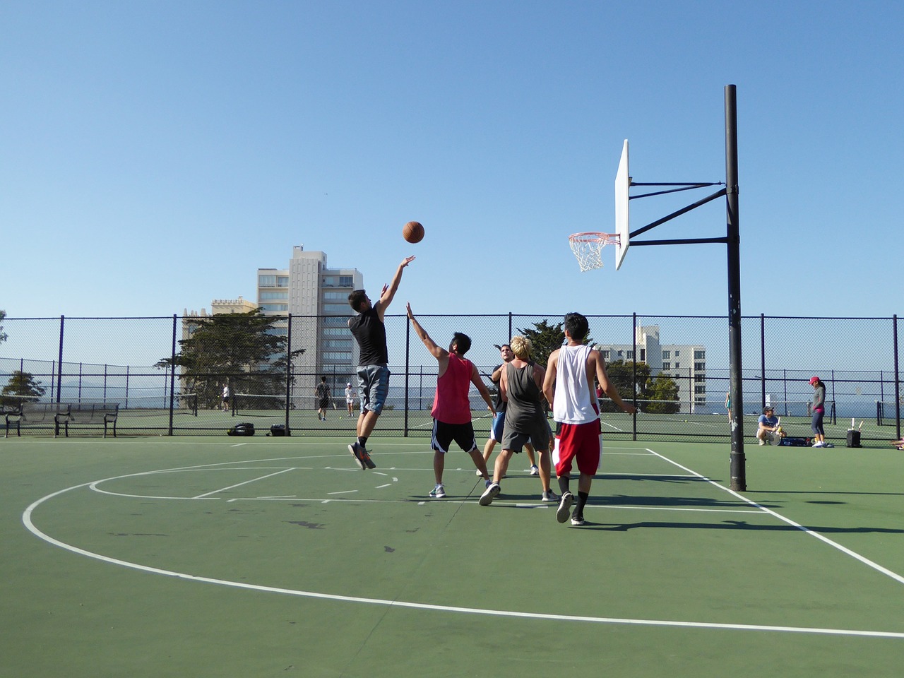 basketball play sport free photo