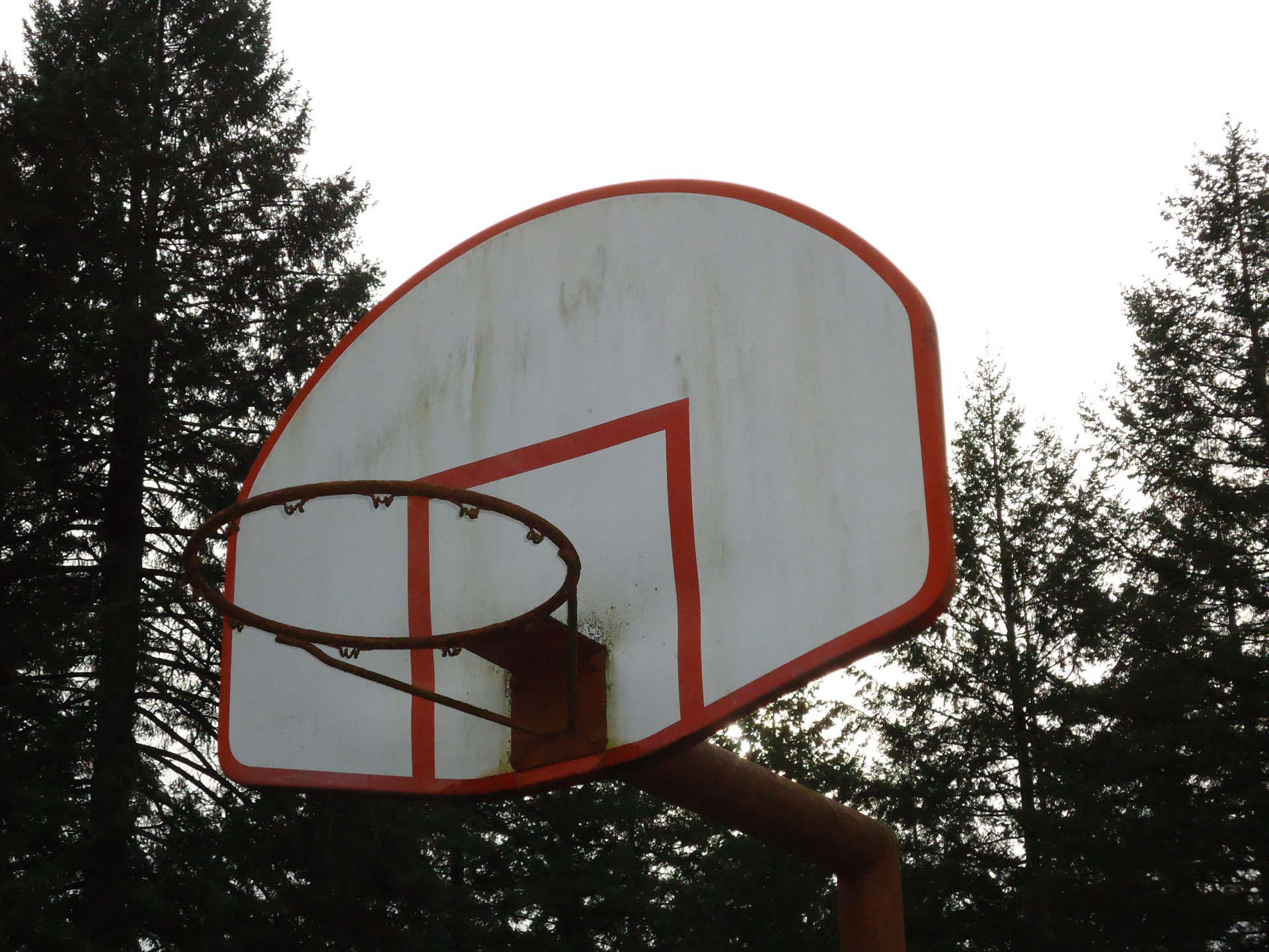 basketball ball rim free photo