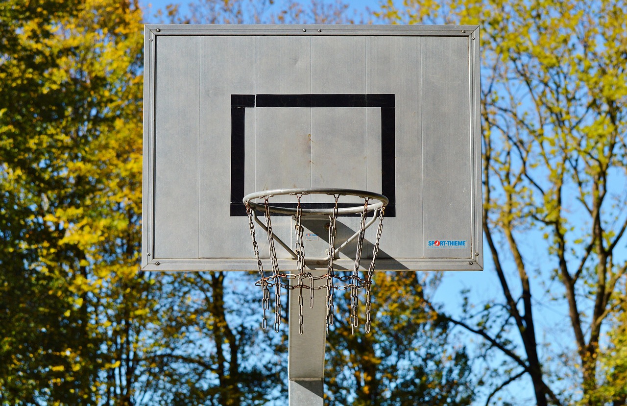 basketball hoop basketball ball sports free photo