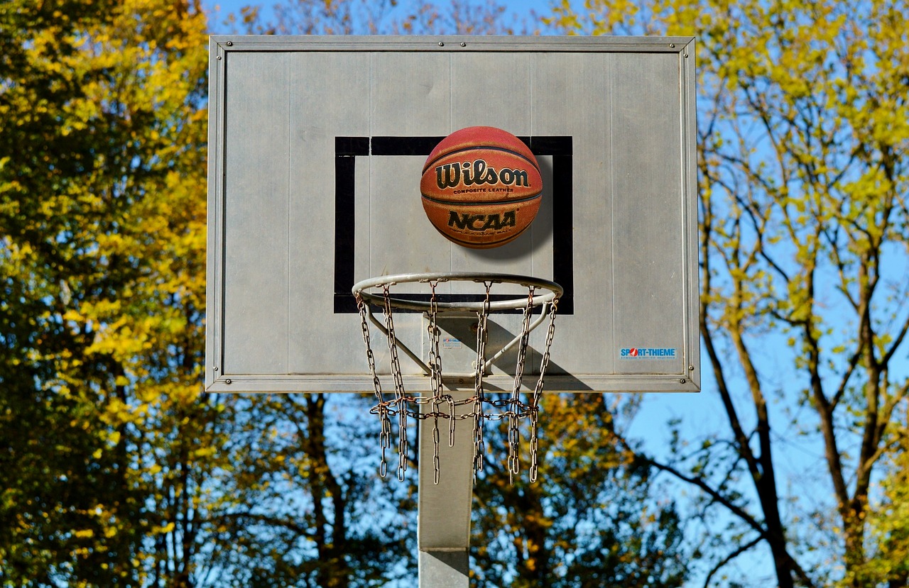 basketball hoop basketball ball sports free photo