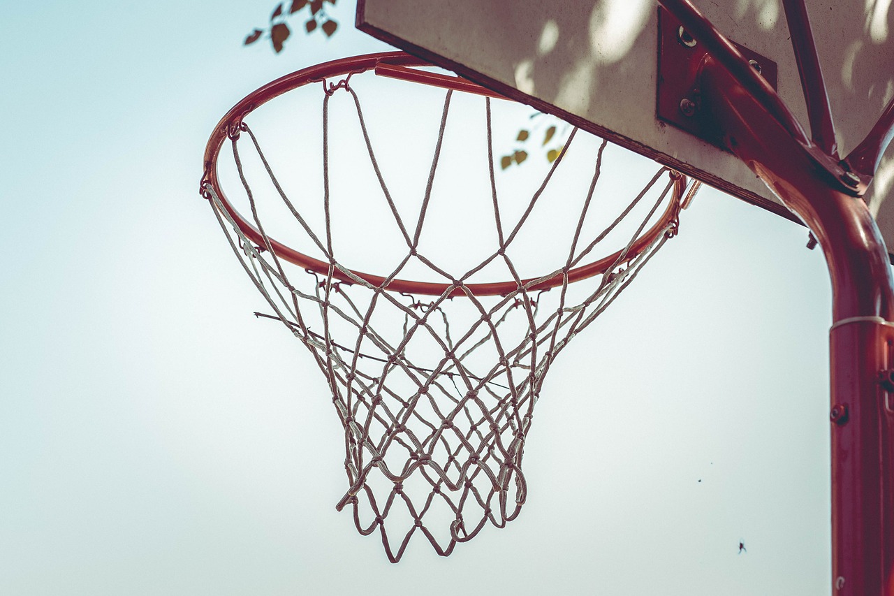 basketball hoop basketball network free photo
