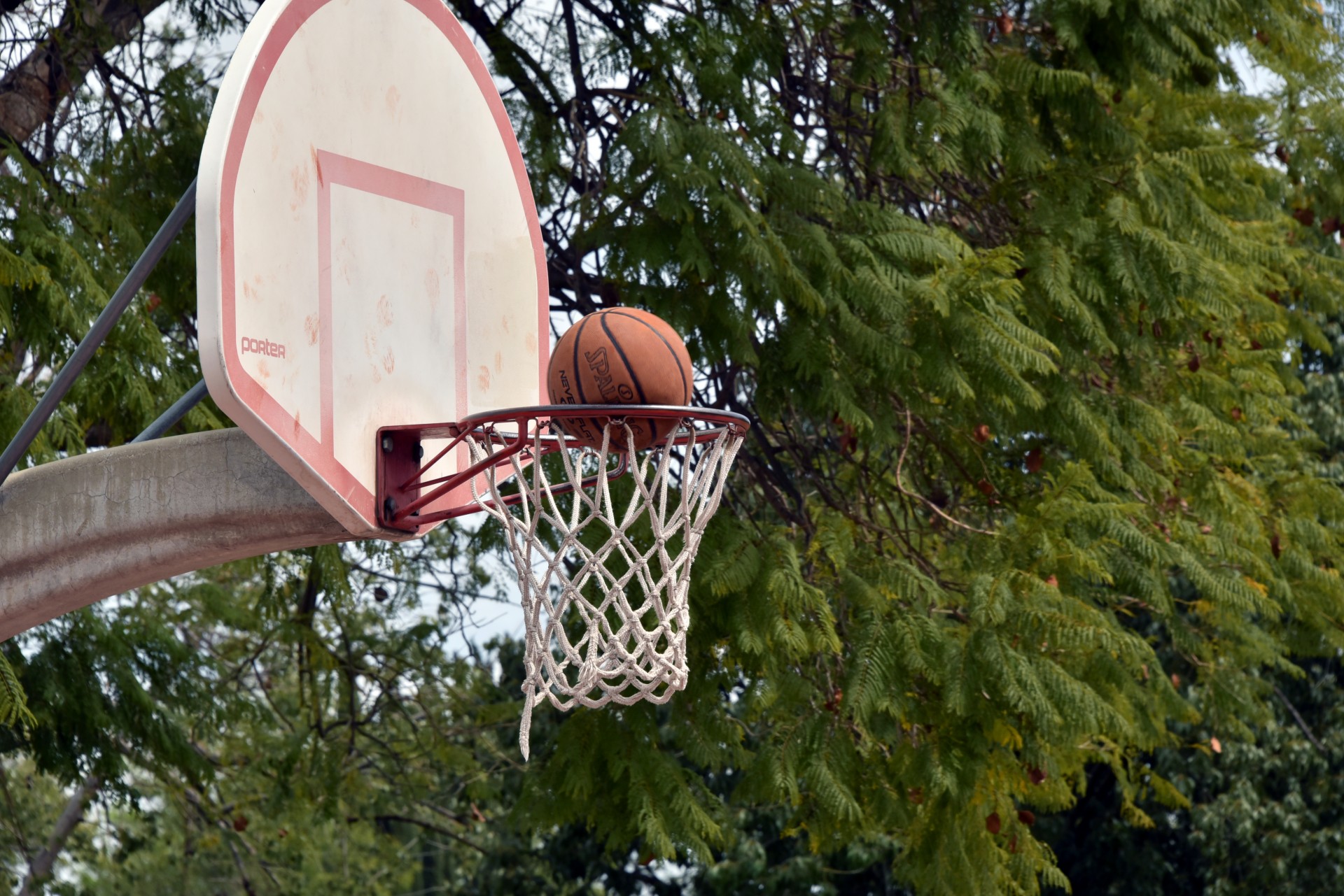basketball net backboard free photo