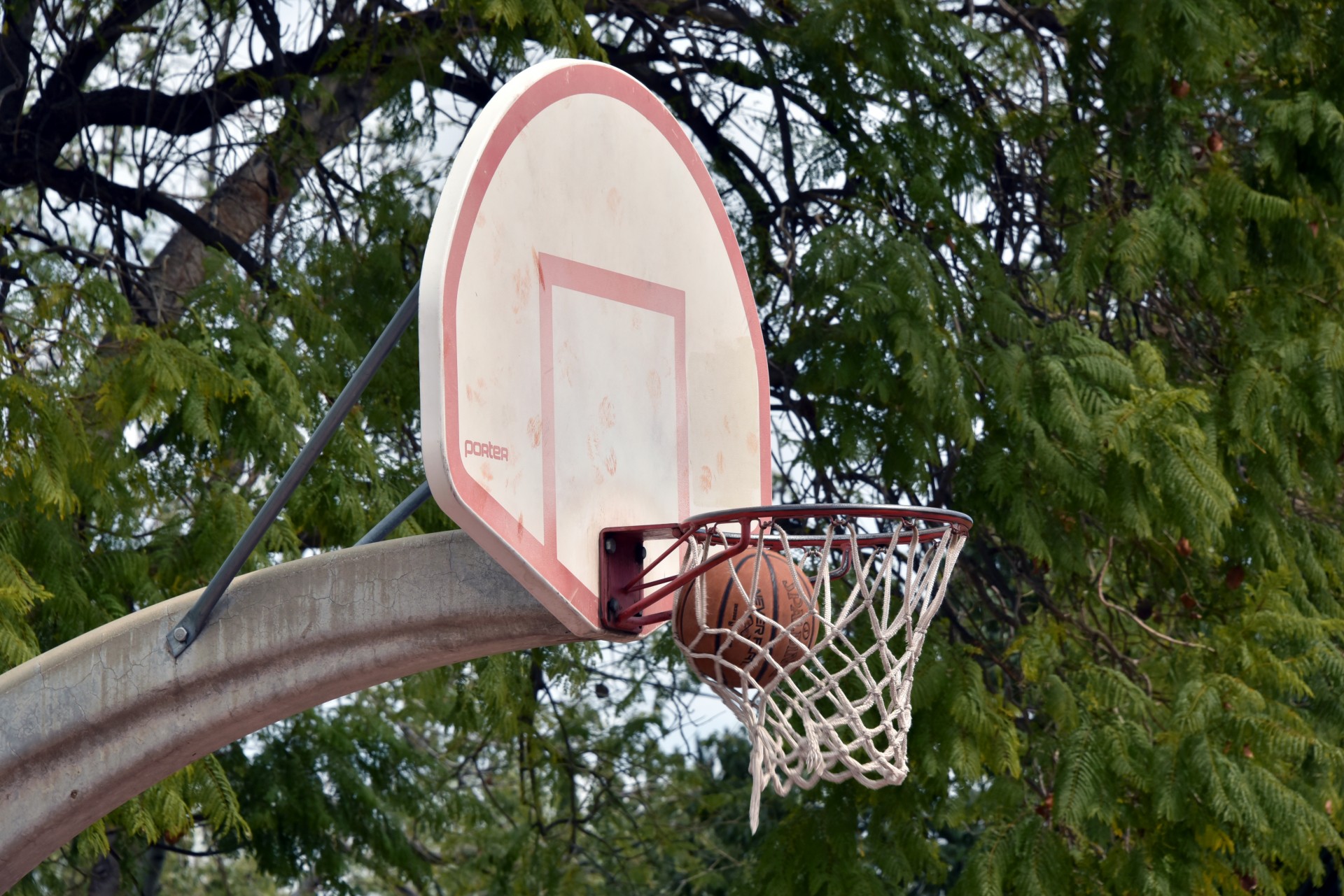 basketball shoot score free photo