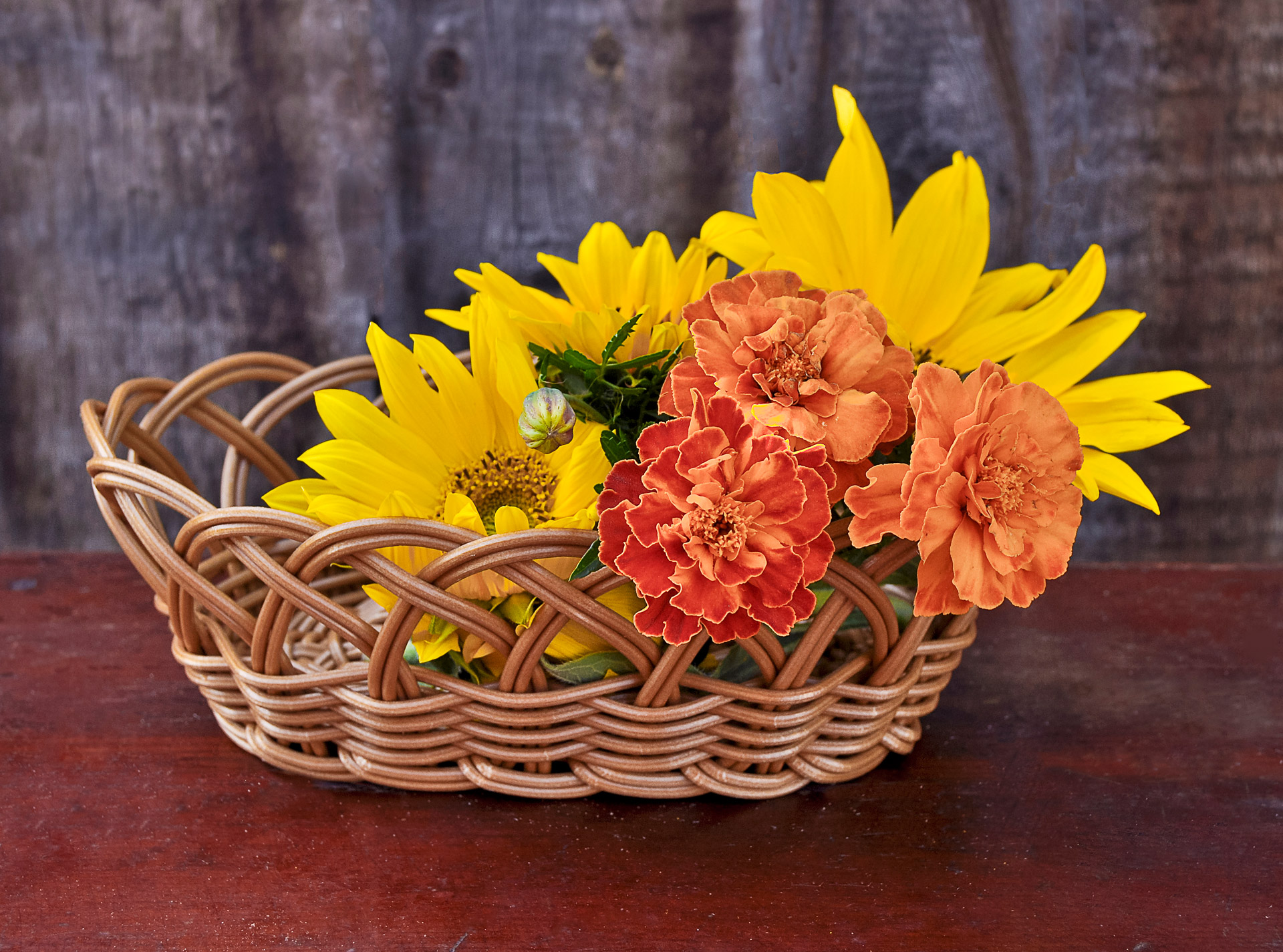 sunflowers flowers still life free photo