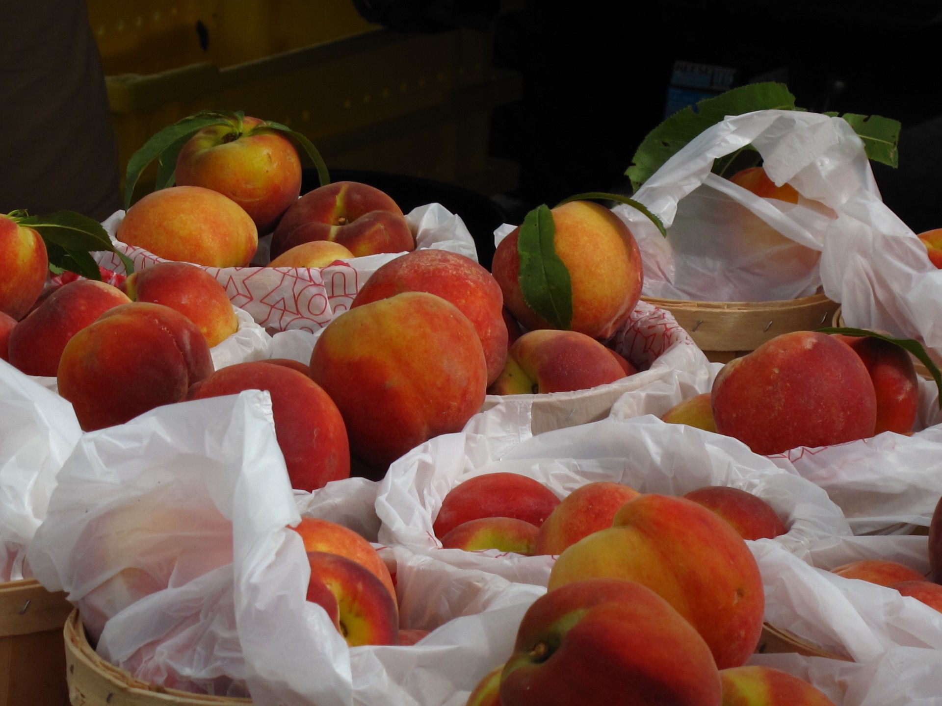 peaches farmer's market baskets free photo