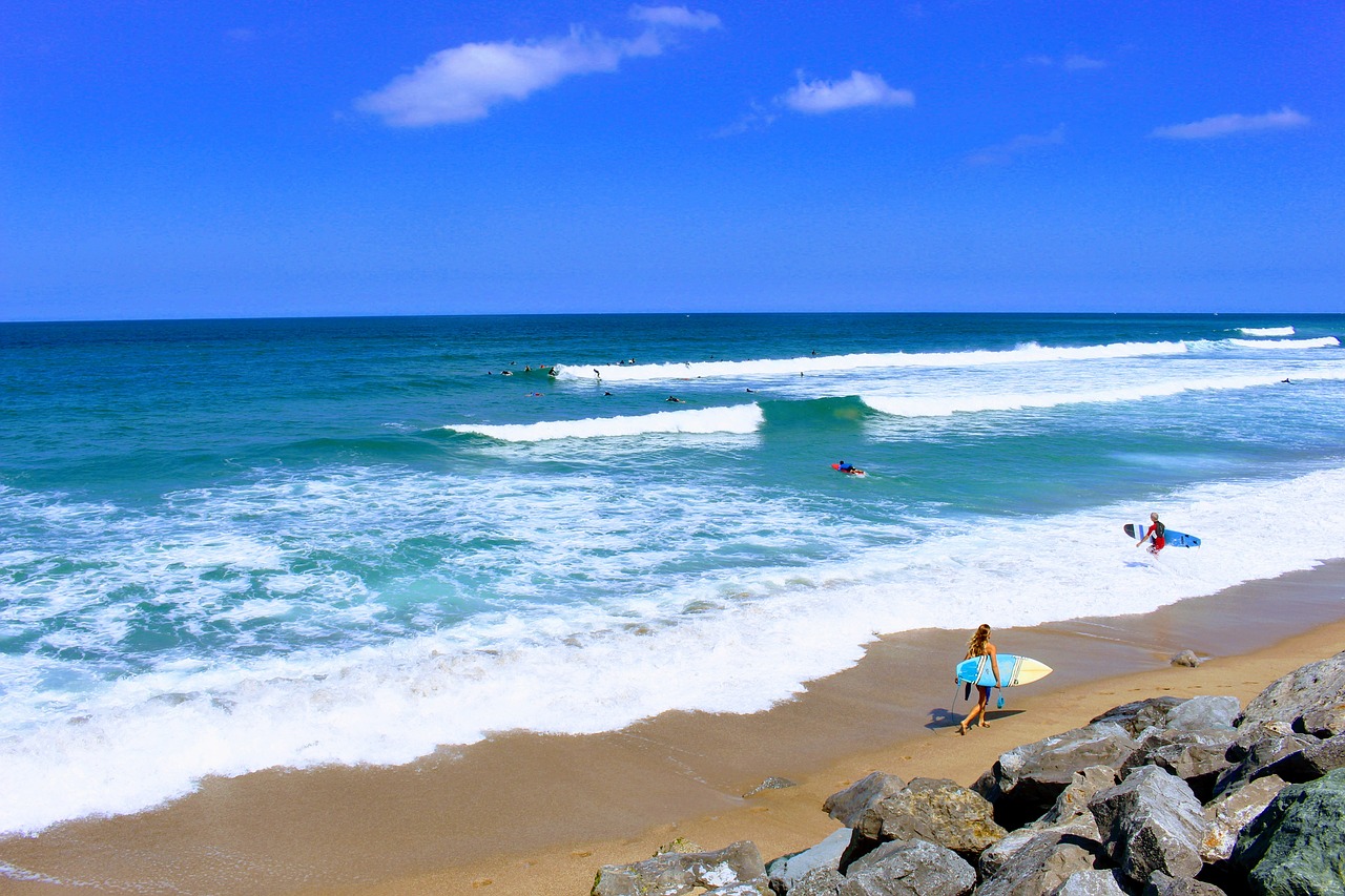 basque country bidart centre surfer free photo