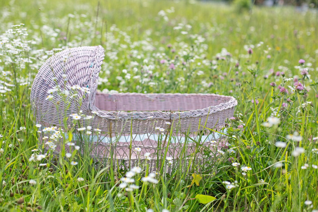 bassinet pink spring free photo