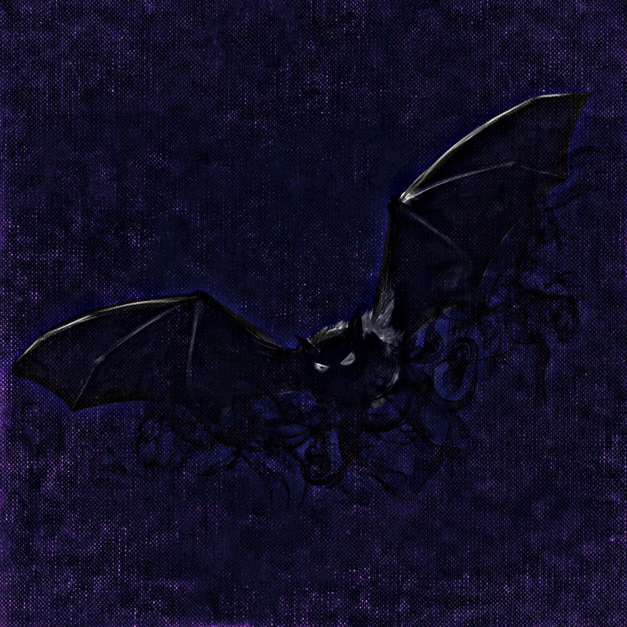 bat night creepy free photo